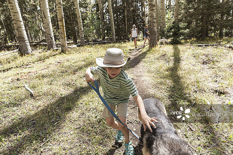 美国圣菲国家森林：7岁男孩在白杨树林中遛狗图片素材