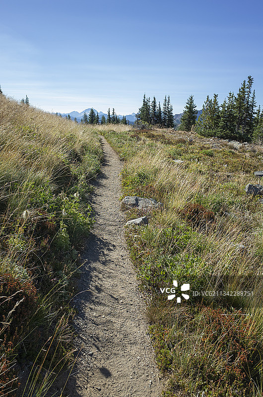美国太平洋山脊步道高山草甸路径图片素材