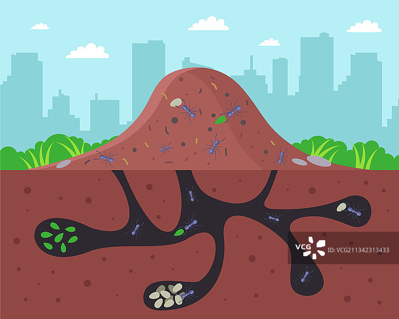 大型蚁穴及地下通道图片素材