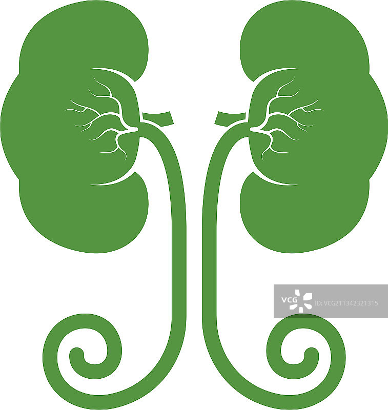 肾脏图标设计图片素材