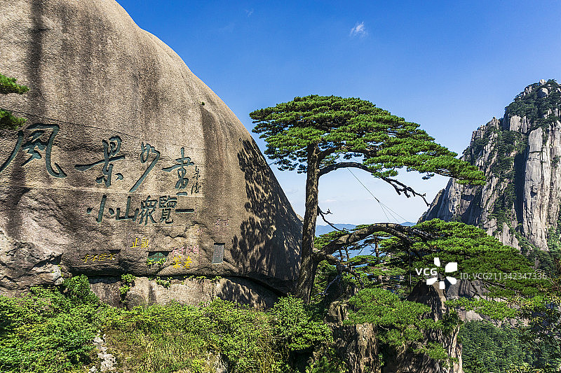 黄山标志景观迎客松和青狮石图片素材
