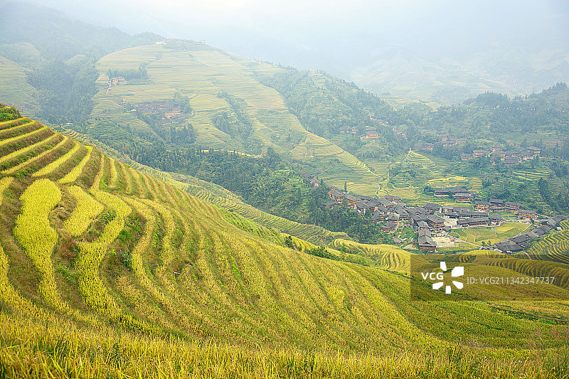 广西壮族自治区桂林市龙胜县龙脊梯田图片素材