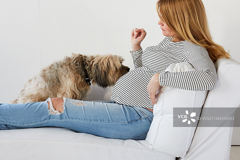 在家中快乐的孕妇肖像图片素材