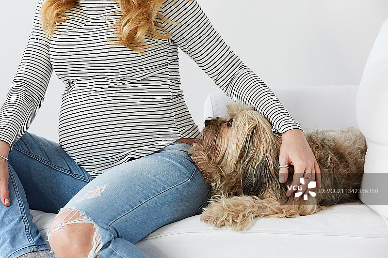 在家中快乐的孕妇肖像图片素材