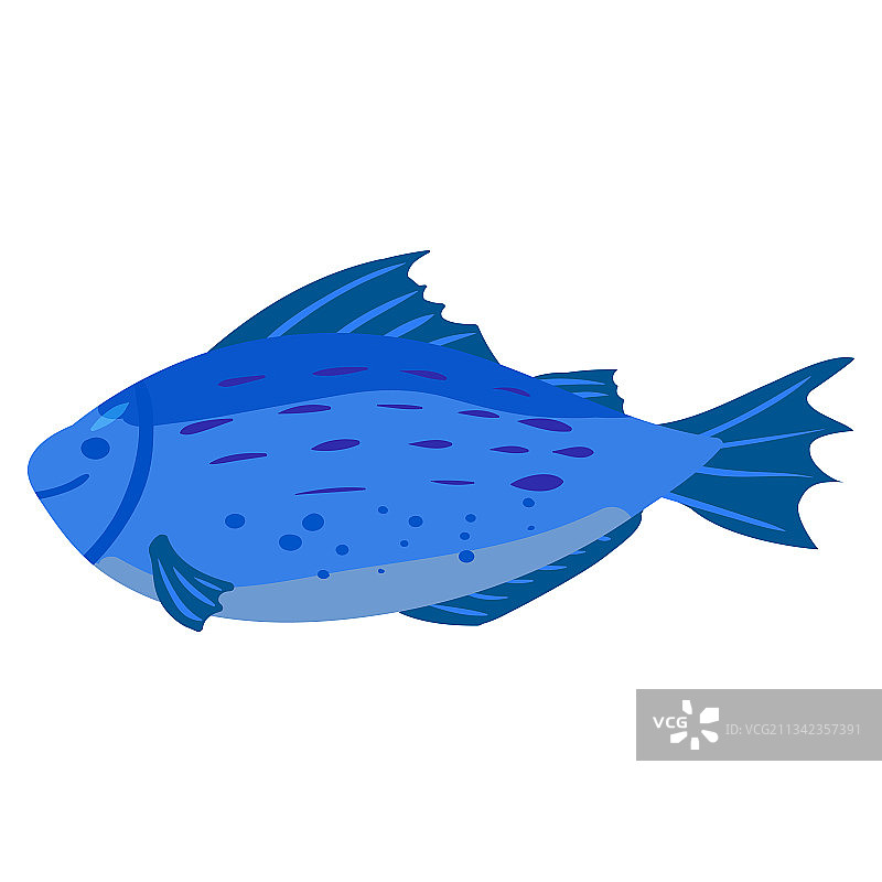蓝色鱼类天然健康有机营养图片素材