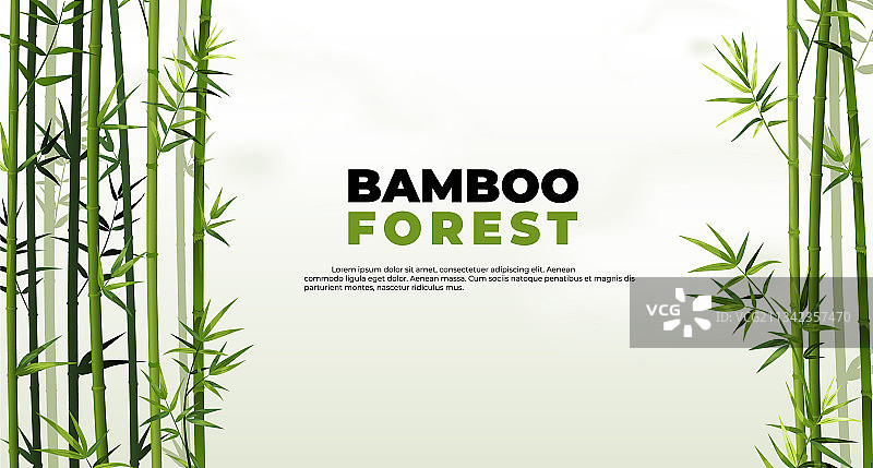 竹林banner东亚热带植物图片素材