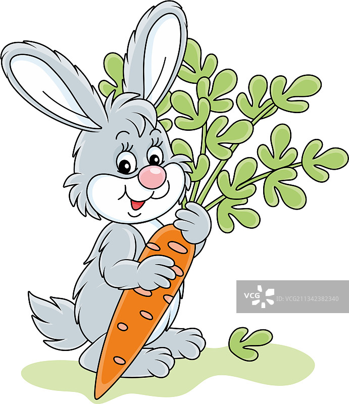 抱着美味胡萝卜的灰色小兔子图片素材