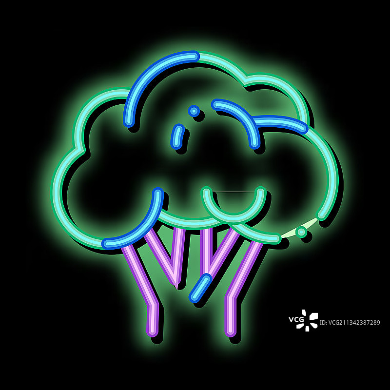 蔬菜花椰菜霓虹灯发光图标图片素材