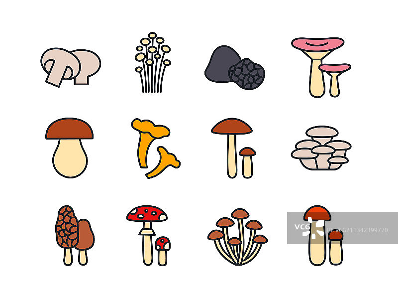 蘑菇图标线性彩色图标集图片素材
