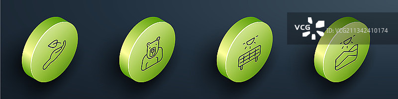 2.5D线条：手中小苗、北极熊头图片素材