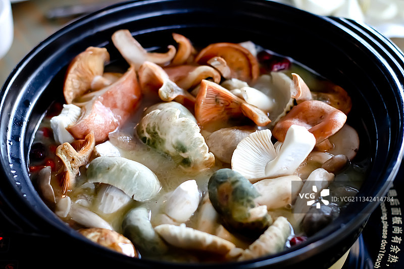 野生蘑菇 吃云南菌子图片素材