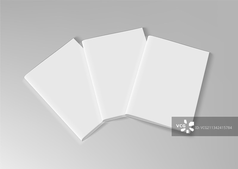 逼真的空白A4双折页宣传册图片素材