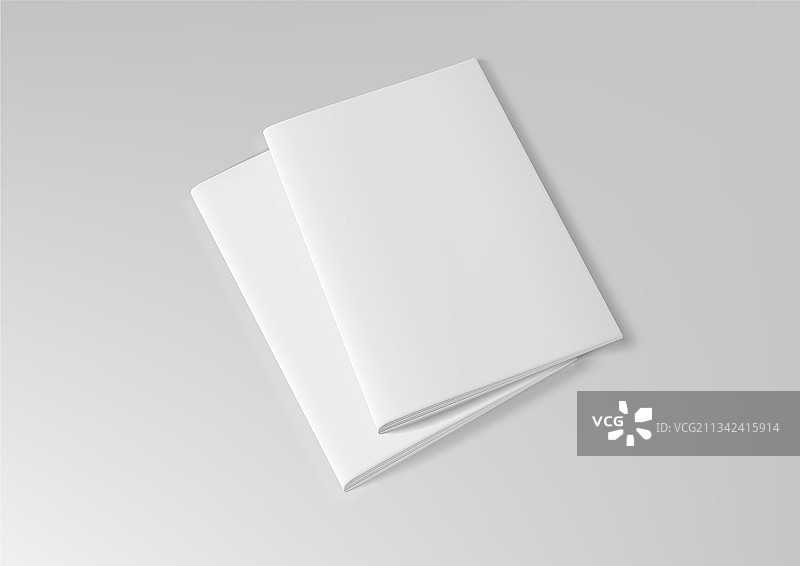 逼真的空白A4双折页宣传册图片素材