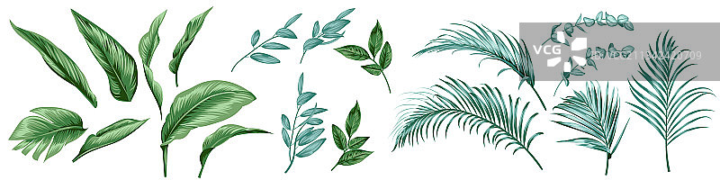 纺织设计热带叶子素材图片素材