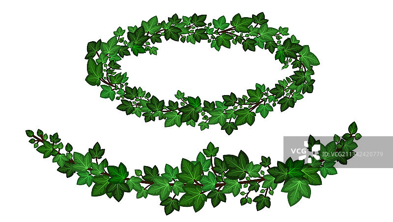 绿色常春藤花环图片素材