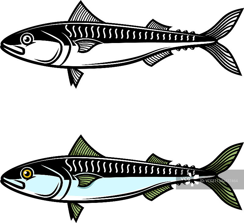 鲭鱼Logo标签设计元素图片素材