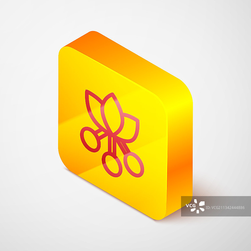 2.5D线条咖啡豆树枝与叶子图标图片素材