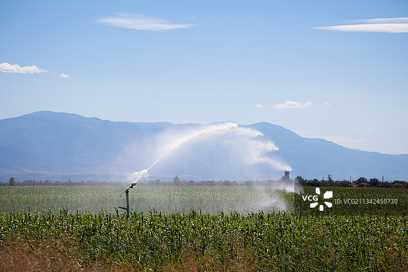 天空映衬下的农田风景图片素材