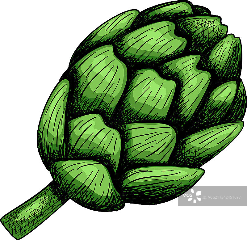 朝鲜蓟图标图片素材