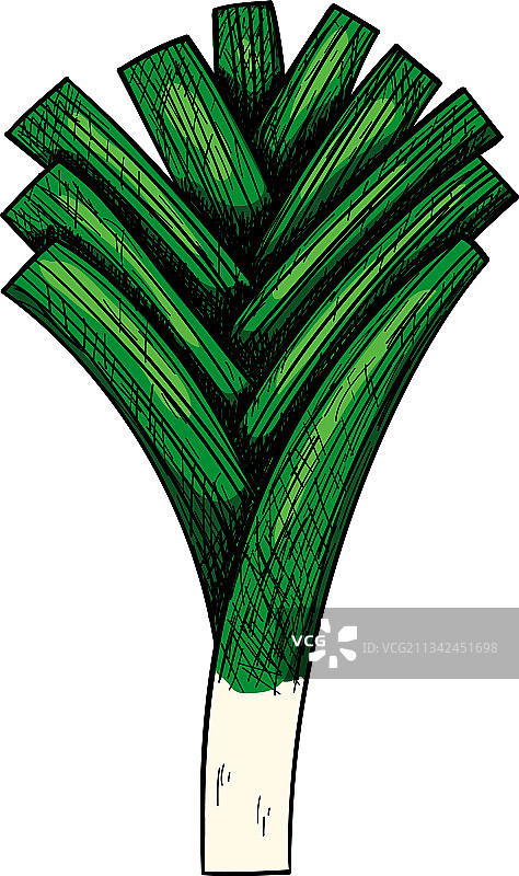 韭葱洋葱图标图片素材