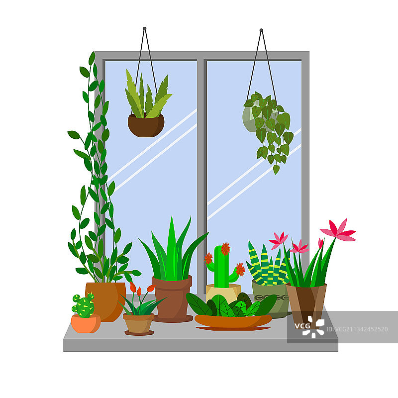 窗台上的盆栽花卉内饰图片素材