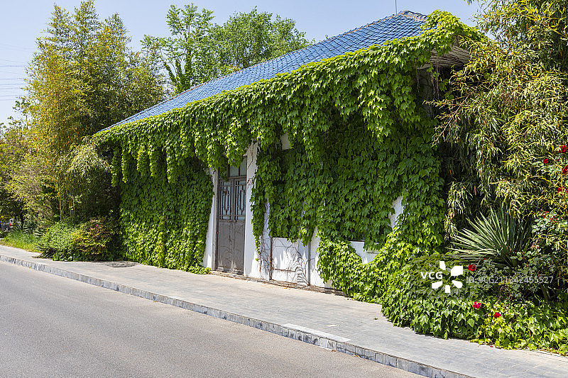 景观、夏天、公园、房子、爬山虎、绿色植物图片素材
