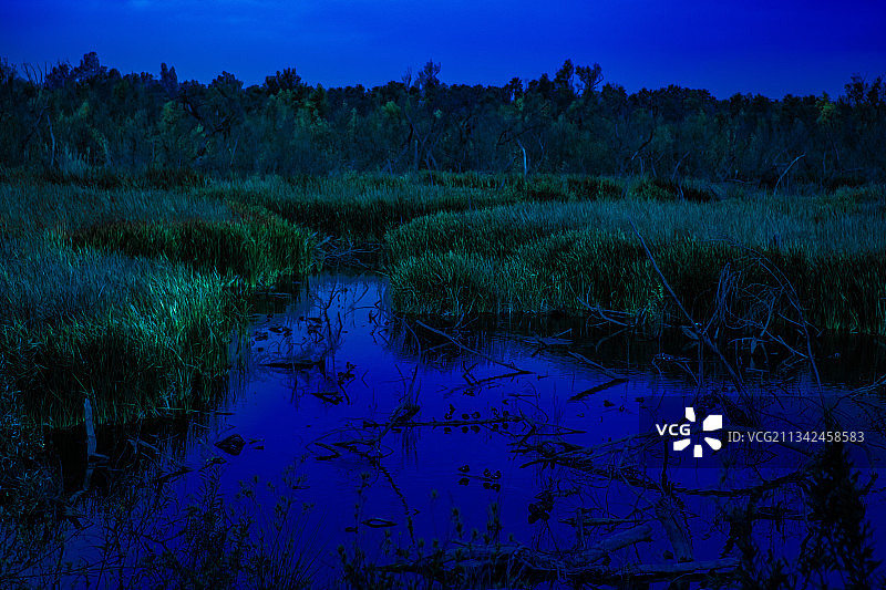 加利福尼亚州奇诺市的湖泊风光图片素材
