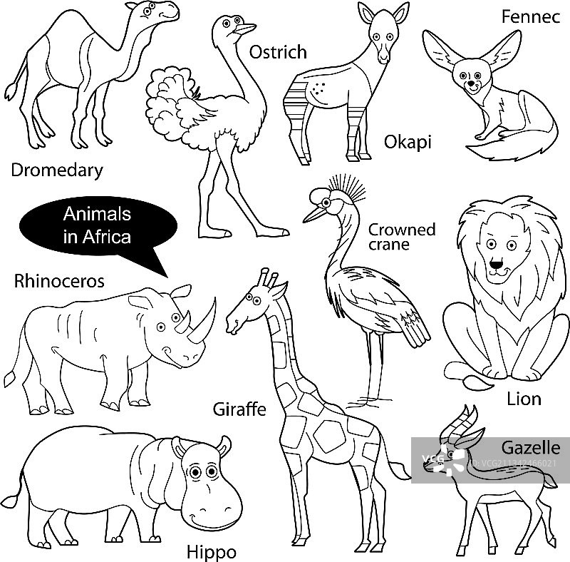 非洲趣味可爱动物组合图片素材