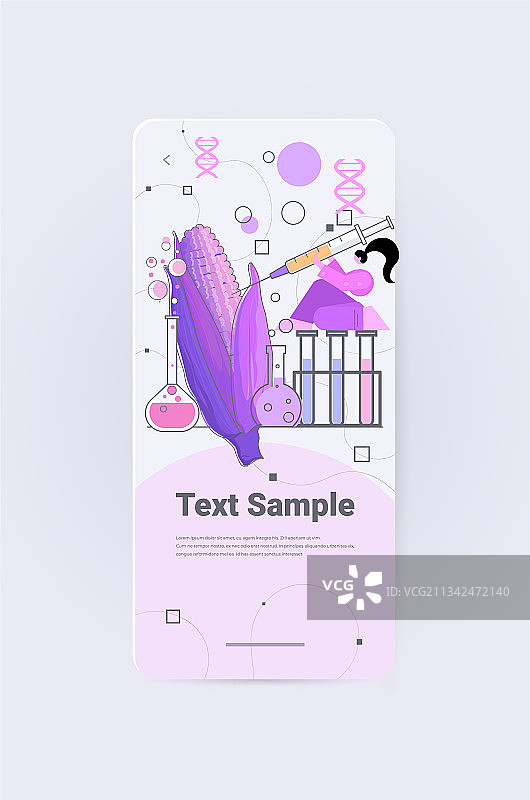 研究玉米DNA的科学家图片素材
