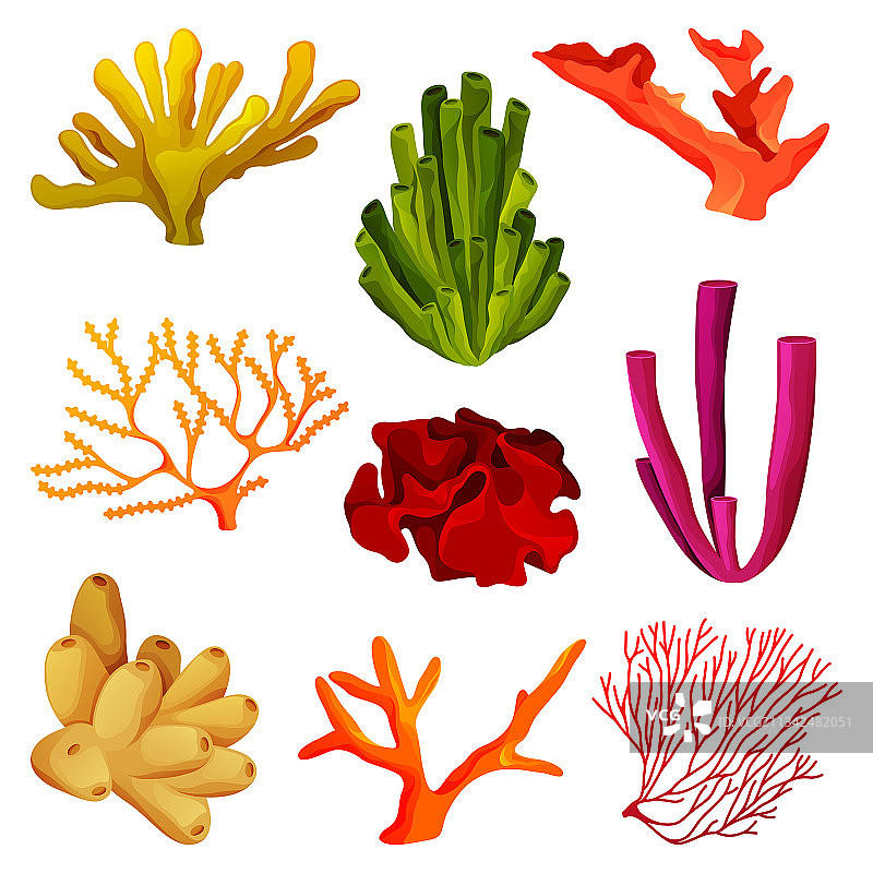 水下野生生物珊瑚礁元素图片素材