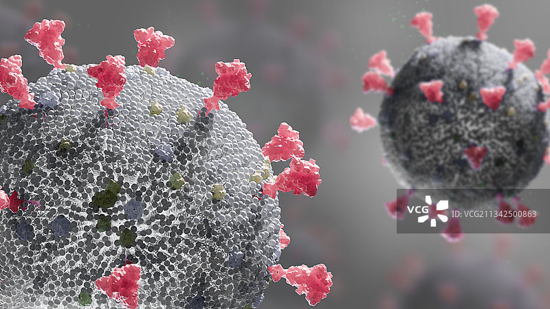 3D渲染写实风格微观视角新冠病毒插图图片素材