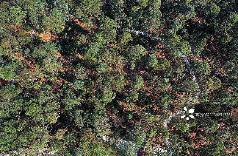 广东省东莞市常平镇旗岭森林公园航拍图片素材