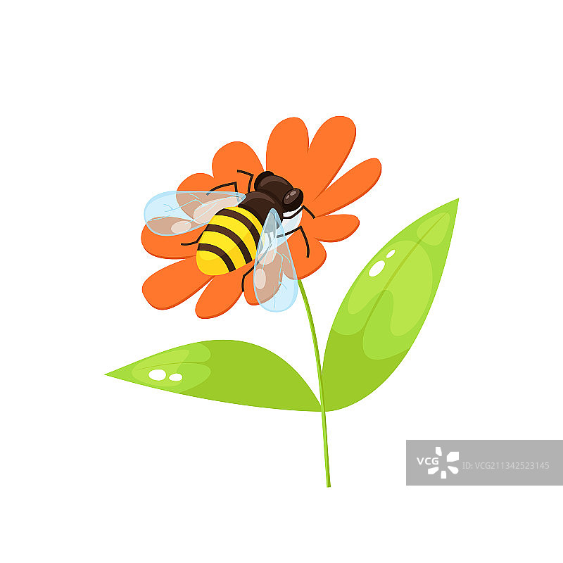 卡通风格的蜜蜂图片素材