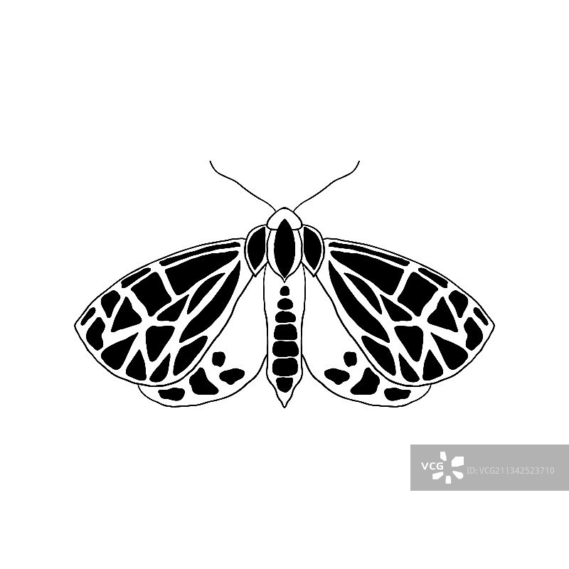 涂鸦风格的蛾子图片素材