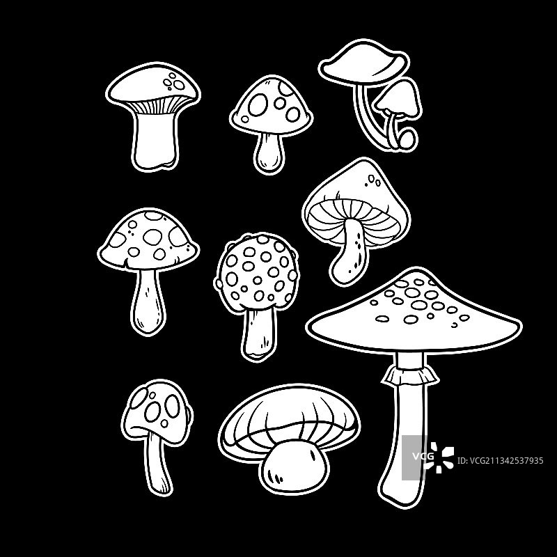 多张不同的白色图像素材图片素材