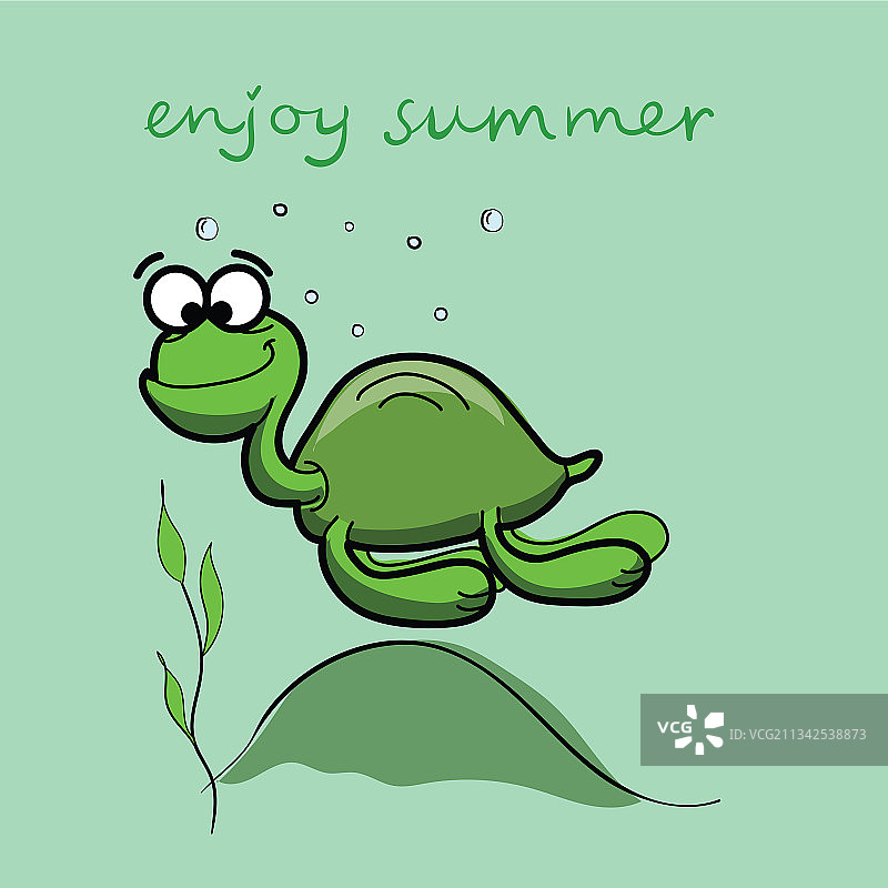 有趣的乌龟图片素材