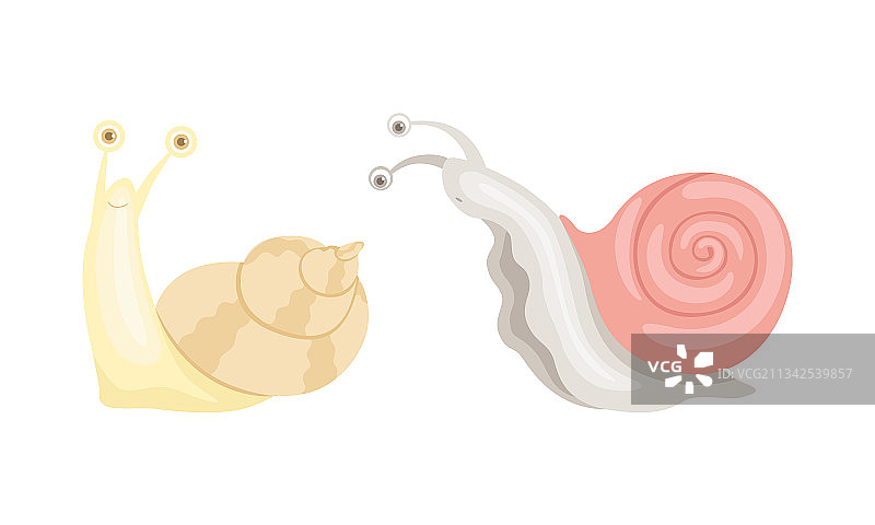 可爱有趣的卡通蜗牛套装图片素材