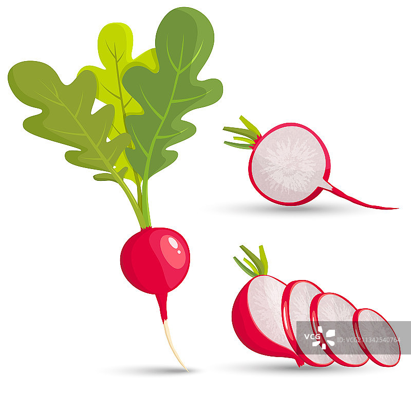 萝卜切片合集图片素材