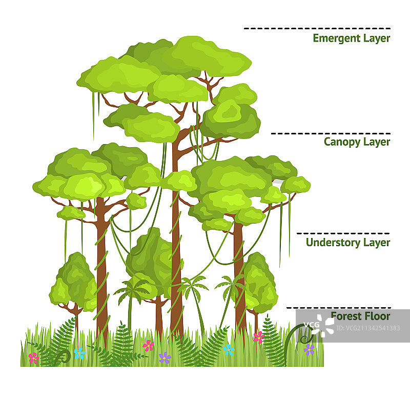 卡通彩色雨林丛林分层图片素材