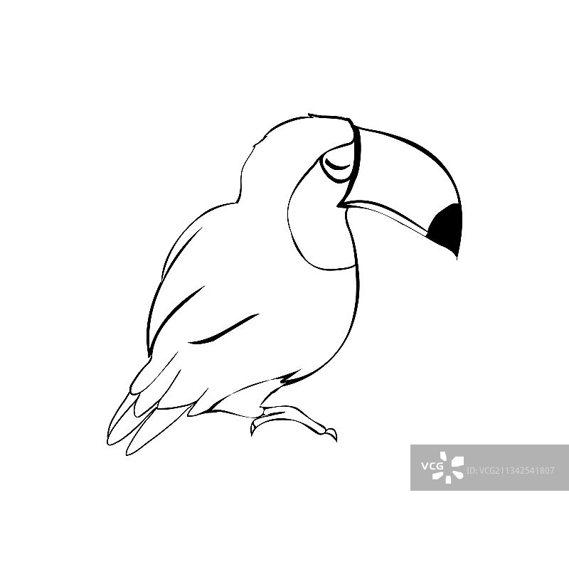手绘铅笔画巨嘴鸟雕刻图片素材