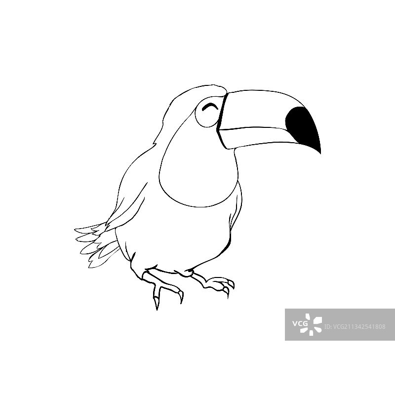 手绘铅笔画巨嘴鸟雕刻图片素材