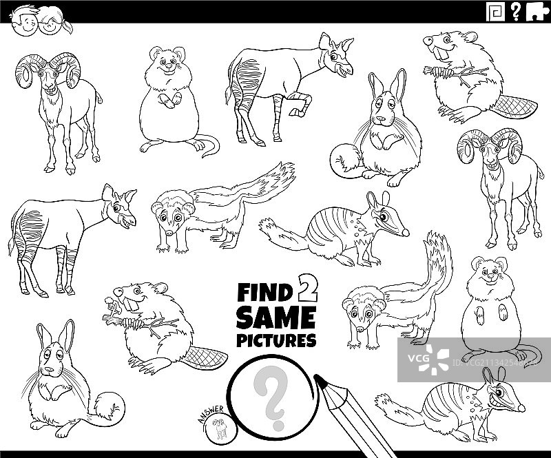找出相同的两只野生动物：任务涂色书页图片素材