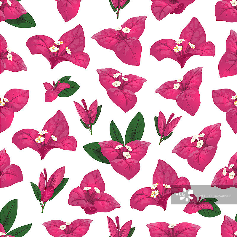 三角梅花叶无缝图案图片素材