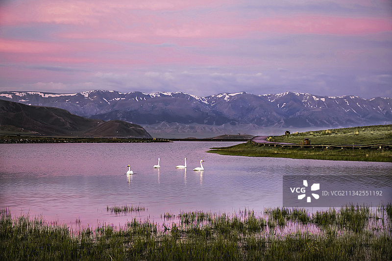晨曦—赛里木湖图片素材