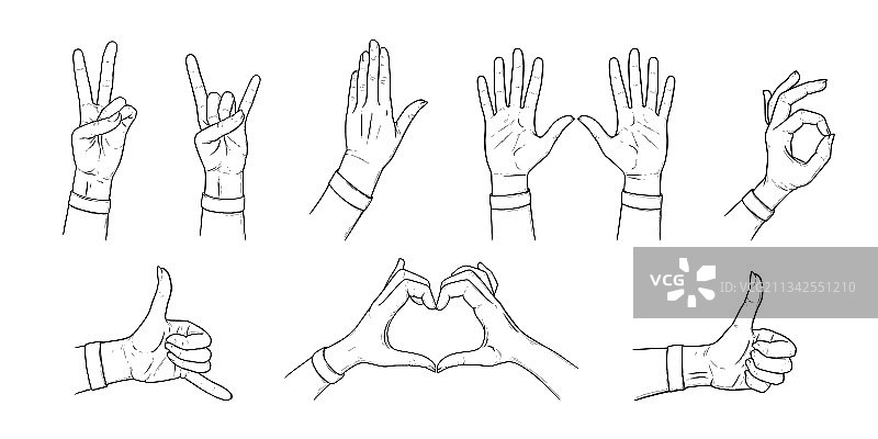 手势与手部姿势素描合集图片素材