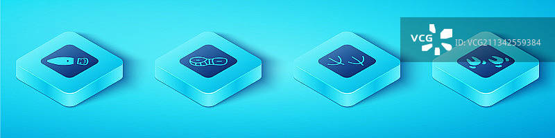 2.5D人类脚印野猪鞋子设置图片素材