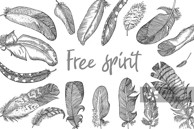 逼真鸟类羽毛速写图片素材