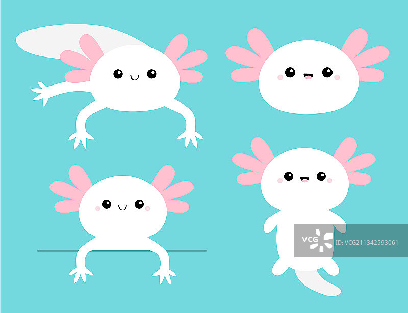 可爱的墨西哥钝口螈套图图片素材