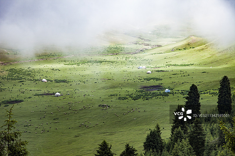 高山牧场蒙古包图片素材