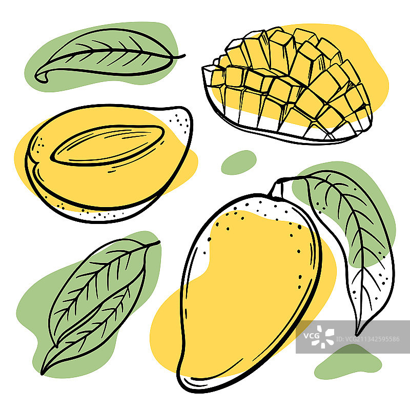 手绘新鲜芒果图片素材